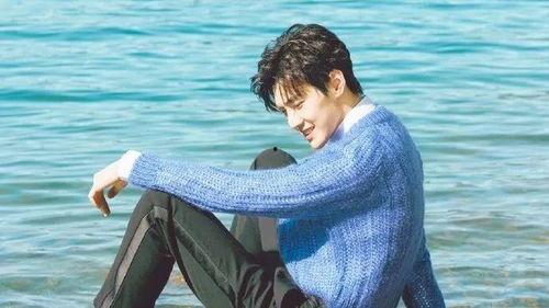 林雨申杨宝宝最新爆料,揭秘娱乐圈幕后真相